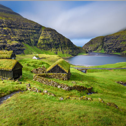 Wilderness Experience