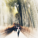 Wilderness Experience